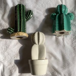 Easy care trio of cacti!